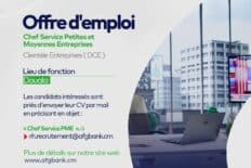 Chef Service Petites et Moyennes Entreprises