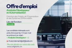 Analyste Développeur et Automatisation
