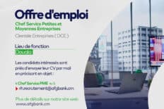 Chef Service Petites et Moyennes Entreprise