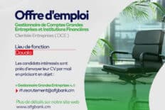 Gestionnaire de Comptes Grandes Entreprises et Institutions Financières