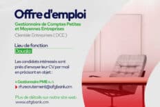 Gestionnaire de Comptes Petites et Moyennes Entreprises